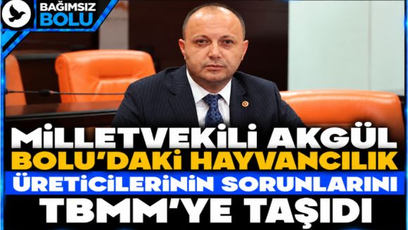 Akgül, Bolu'da Hayvancılık Üreticilerinin Sorunlarını TBMM Gündemine Taşıdı