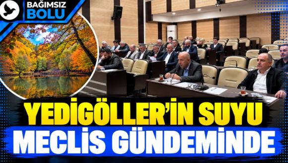 YEDİGÖLLER'İN SUYU MECLİS GÜNDEMİNDE